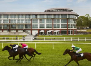 Horse racing - Lingfield park racecourse