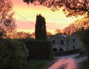 Travel Ashdown Forest by Friends Cars Taxi Service